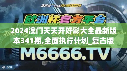 2024澳门天天开好彩大全最新版本341期,全面执行计划_复古版1.863