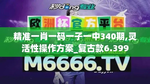 精准一肖一码一子一中340期,灵活性操作方案_复古款6.399