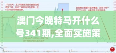 澳门今晚特马开什么号341期,全面实施策略数据_YE版6.821