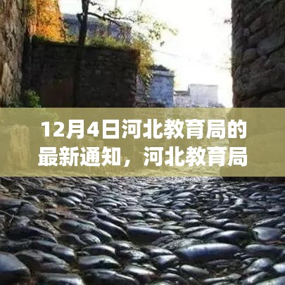 河北教育局最新通知，自然美景探索之旅与内心宁静之旅正式开启