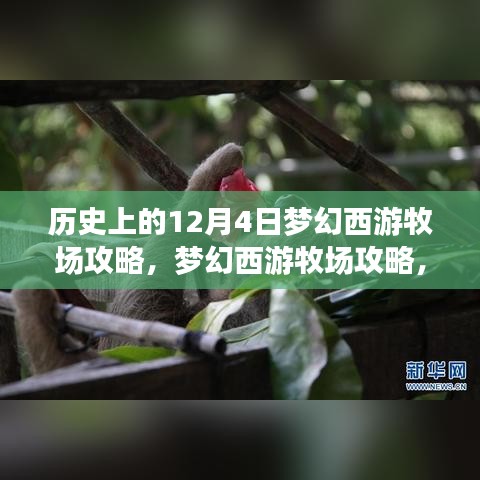 梦幻西游牧场攻略，历史上的12月4日任务详解与牧场攻略解析