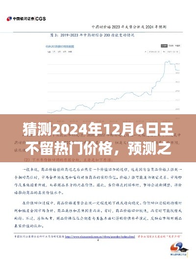 探索王不留热门价格走向，预测之旅至2024年12月6日的价格走势分析