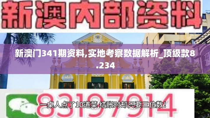 新澳门341期资料,实地考察数据解析_顶级款8.234