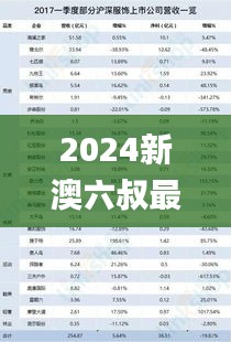 2024新澳六叔最精准资料341期,收益说明解析_户外版15.374