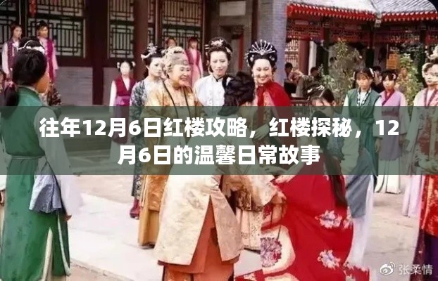 红楼探秘，历年12月6日的温馨日常攻略与故事分享