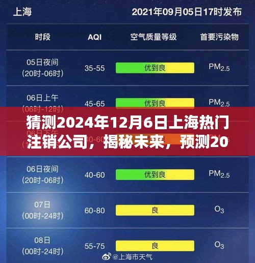 揭秘未来，预测上海热门注销公司三大趋势（2024年12月6日）