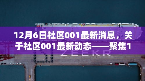 聚焦社区001，深度解析最新动态与消息速递（12月6日更新）