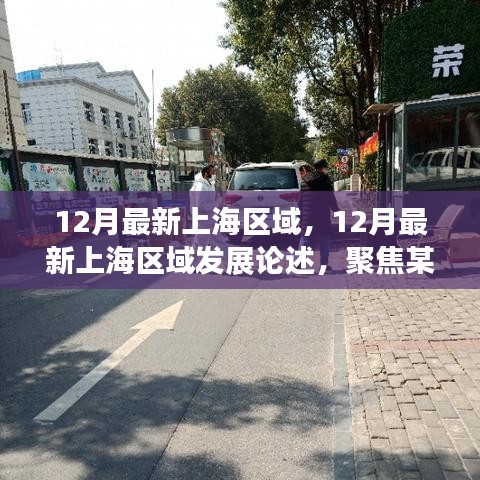 上海区域发展论述，聚焦最新动态与某某观点