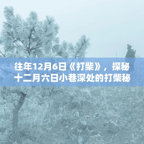 探秘十二月六日小巷深处的打柴秘境，传统手艺打柴揭秘