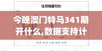 今晚澳门特马341期开什么,数据支持计划解析_专业版5.522