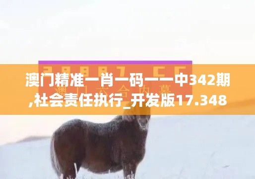 澳门精准一肖一码一一中342期,社会责任执行_开发版17.348