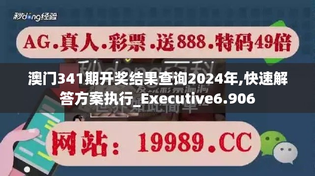 澳门341期开奖结果查询2024年,快速解答方案执行_Executive6.906