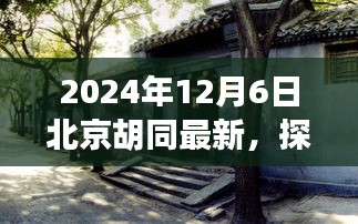 探秘北京胡同，隐藏在巷弄深处的独特小店，奇遇之旅（2024年12月6日）