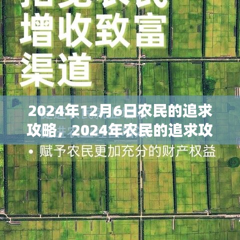 2024年12月6日农民的追求攻略，2024年农民的追求攻略，实现农业现代化与高效收益