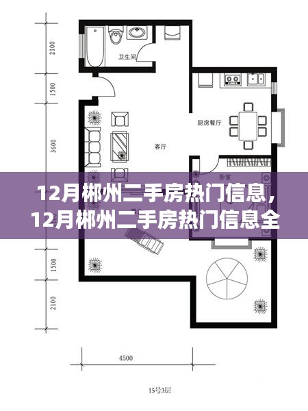 12月郴州二手房热门信息，12月郴州二手房热门信息全解析，购房指南、市场走势与精选房源