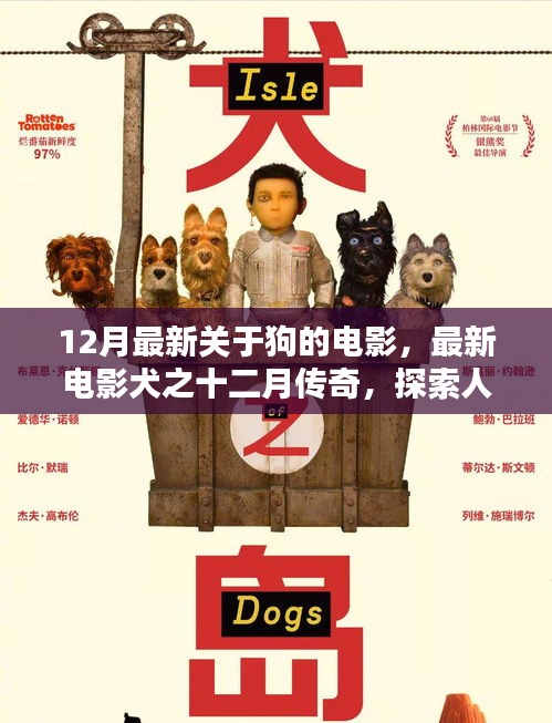 犬之十二月传奇，深度探索人与狗的情感纽带，最新电影带你领略人与犬的温情时刻