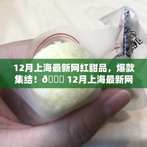 12月上海网红甜品爆款大盘点