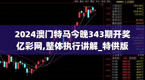 2024澳门特马今晚343期开奖亿彩网,整体执行讲解_特供版15.552