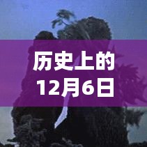 2024年12月8日 第6页