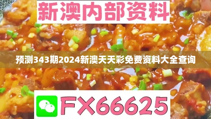 预测343期2024新澳天天彩免费资料大全查询