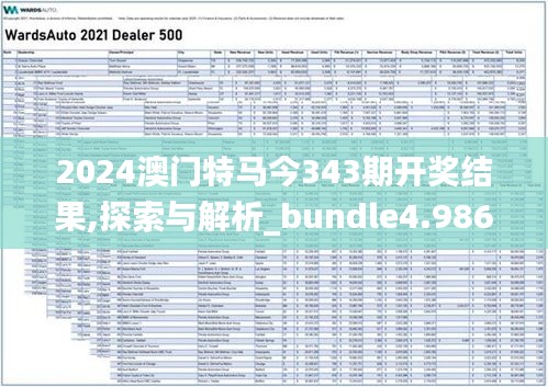 2024澳门特马今343期开奖结果,探索与解析_bundle4.986