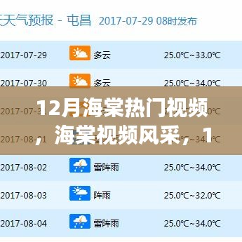 12月海棠风采，自信成就梦想之旅