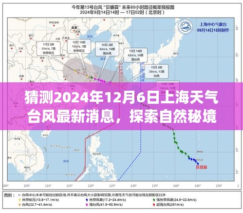 台风来临之际的上海之旅，探索自然秘境，探寻内心宁静与平和的最新天气预报