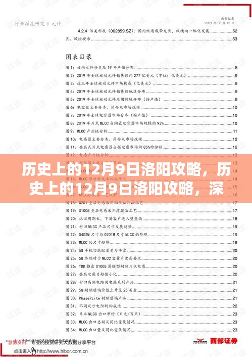 历史上的洛阳攻略深度解析，探寻十二月九日的历史轨迹与观点阐述