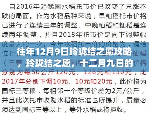 往年12月9日玲珑结之愿攻略，深厚友情与奇妙冒险的启程