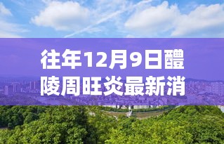 醴陵暖阳下的周旺炎，温馨日常与友情的传递