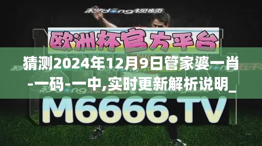 猜测2024年12月9日管家婆一肖-一码-一中,实时更新解析说明_Holo3.608