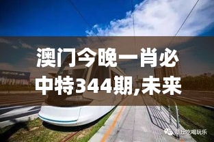 澳门今晚一肖必中特344期,未来规划解析说明_2DM10.982