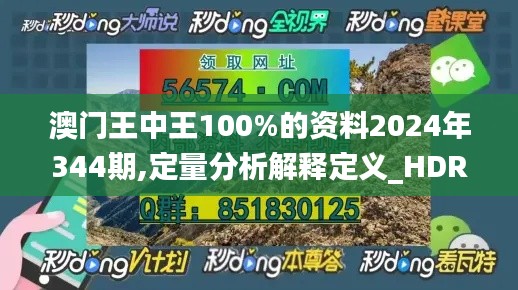 澳门王中王100%的资料2024年344期,定量分析解释定义_HDR版2.114