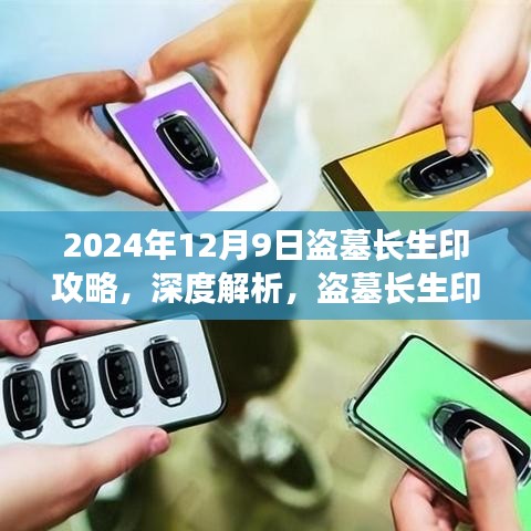 2024年视角深度解析，盗墓长生印攻略全解析