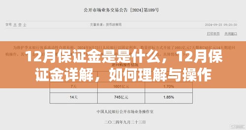 12月保证金详解，定义、理解与操作指南