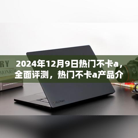 2024年热门不卡a产品全面评测与深度分析