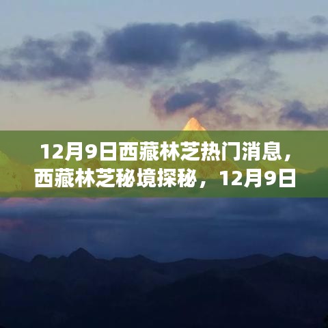 揭秘西藏林芝秘境，心灵之旅探寻宁静与微笑的独特魅力（12月9日热门资讯）