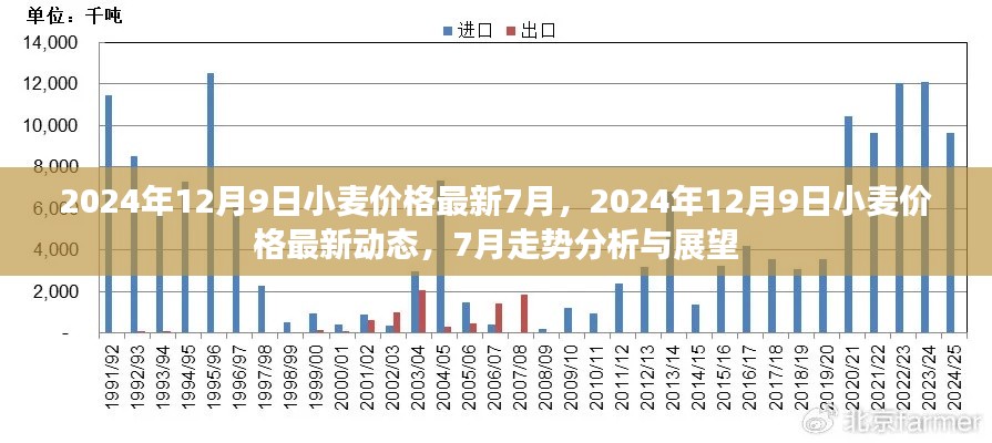 2024年12月9日小麦价格最新动态及7月走势分析与展望