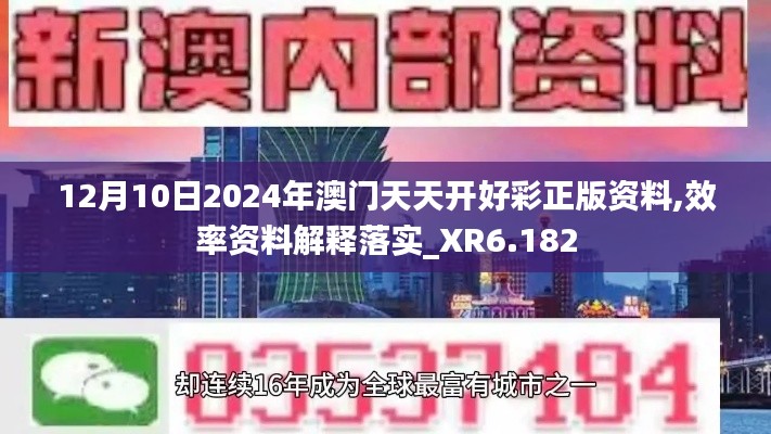 12月10日2024年澳门天天开好彩正版资料,效率资料解释落实_XR6.182