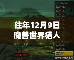 魔兽世界猎人攻略，与自然共舞，探寻内心宁静之旅（往年12月9日版）