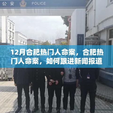 合肥热门人命案深度追踪与理解案件细节的步骤指南（初学者与进阶用户共融）