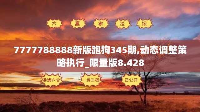 7777788888新版跑狗345期,动态调整策略执行_限量版8.428