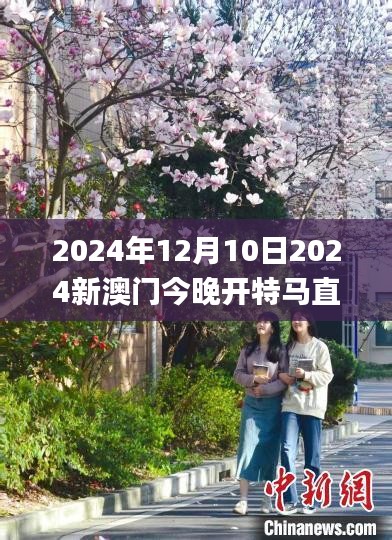 2024年12月10日2024新澳门今晚开特马直播,动态调整策略执行_专属款16.868