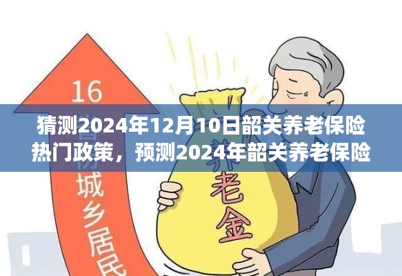 2024年韶关养老保险新动向与热门政策解读，预测与解读未来政策走向