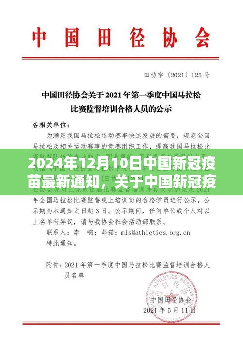 2024年12月10日中国新冠疫苗最新通知，全面解读与更新