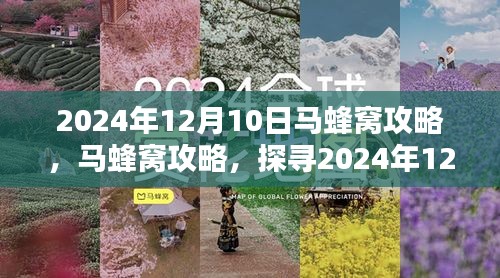 2024年12月10日马蜂窝深度攻略，探寻奥秘，体验独特之旅