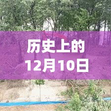 历史上的12月10日巢湖防汛最新进展深度解析与重磅更新