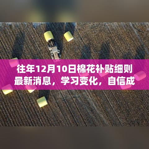 解读棉花补贴细则背后的励志故事，学习变化，自信成就未来，最新消息回顾往年棉花补贴细则更新历程。