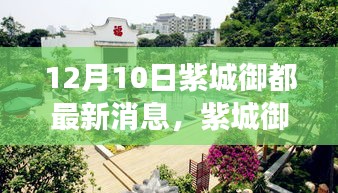 紫城御都新篇章，探寻自然美景的温暖之旅启动，最新消息揭秘！