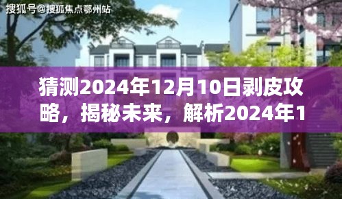 揭秘未来趋势，2024年12月10日剥皮攻略深度解析与探讨趋势观点